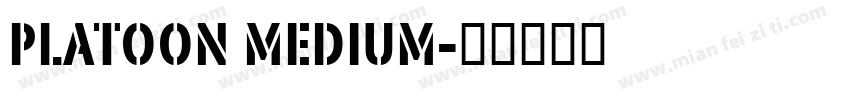 Platoon Medium字体转换